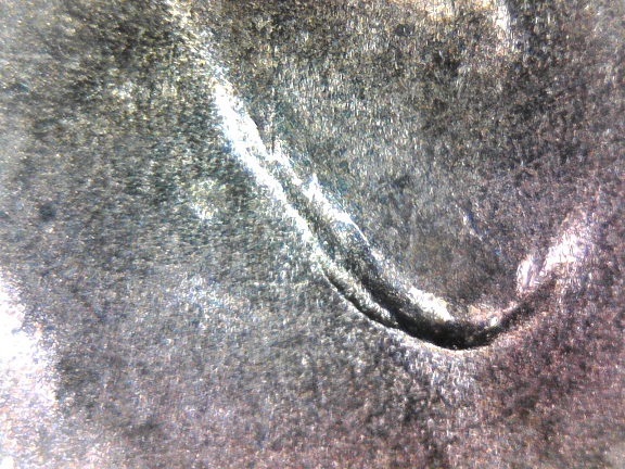 New-Find-2016-D-DDO-LMC-Minor-Double-Ear.